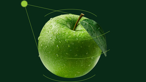 Линейка продуктов