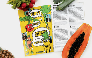 CoFo Cinema 1909 - 3