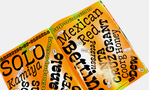 Contrast Foundry Farm 5