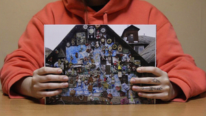 Лебедь из шин